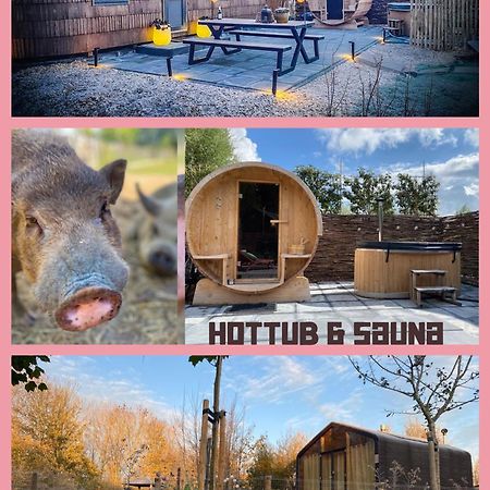 Bed & Wellness Klein Knorrestein With Private Hottub And Sauna And Tandembike Rental Included In Price آلميره المظهر الخارجي الصورة
