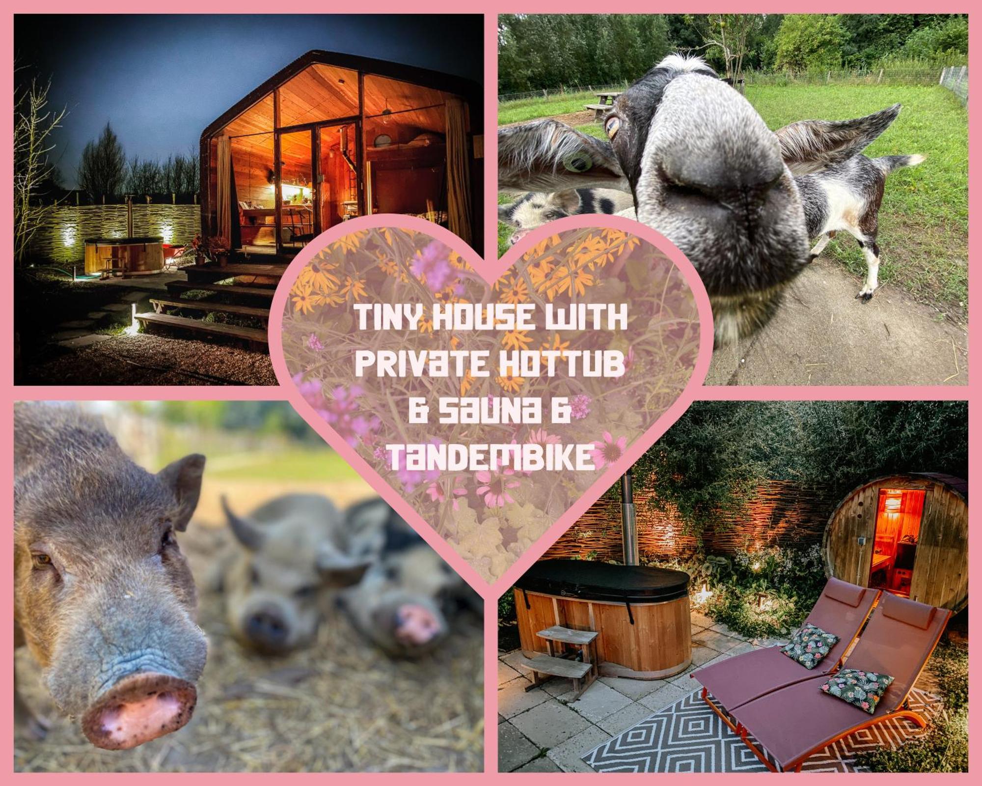 Bed & Wellness Klein Knorrestein With Private Hottub And Sauna And Tandembike Rental Included In Price آلميره المظهر الخارجي الصورة
